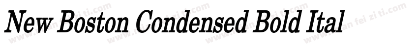 New Boston Condensed Bold Italic字体转换